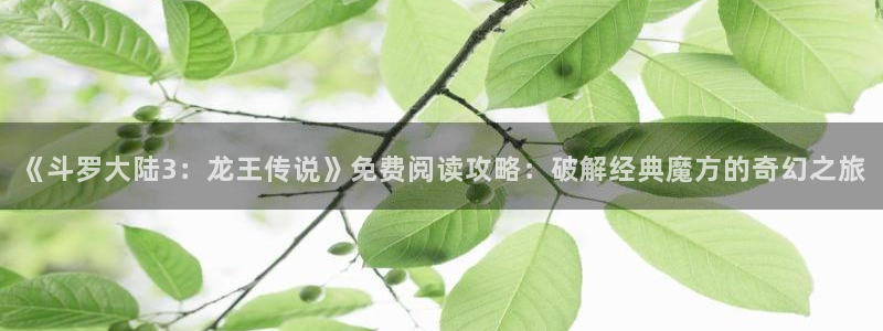 韩漫言情免费观看在线阅读漫画全集：《斗罗大陆3：龙王传说》免费阅读攻略：破解经典魔方的奇幻之旅