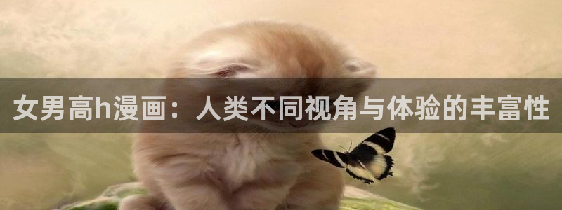 韩漫和平之上在线观看：女男高h漫画：人类不同视角与体验的丰富性