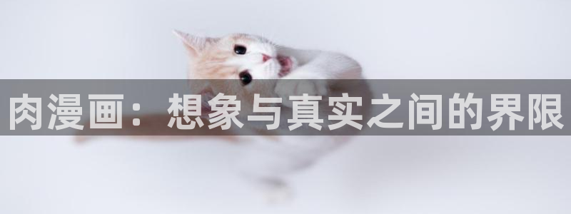 韩漫3d网站：肉漫画：想象与真实之间的界限