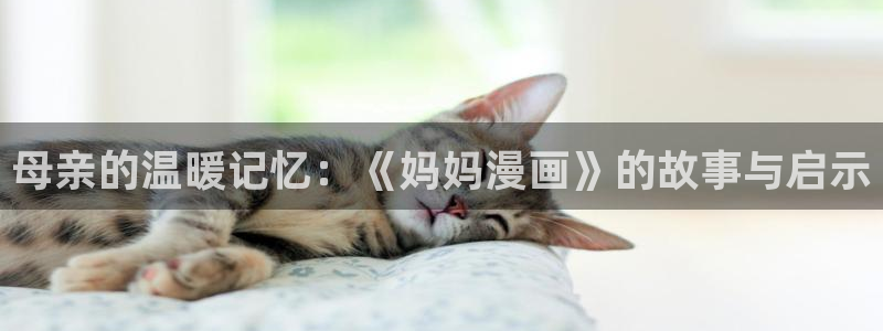 韩漫在线观看入口：母亲的温暖记忆：《妈妈漫画》的故事与启示