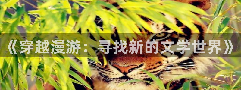 免费韩漫漫画推荐：《穿越漫游：寻找新的文学世界》