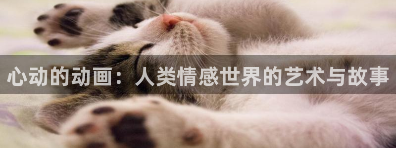 免费韩漫土豪漫画在线观看：心动的动画：人类情感世界的艺术与故事
