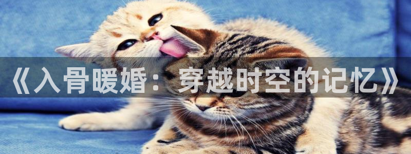 歪歪漫画韩漫网址：《入骨暖婚：穿越时空的记忆》