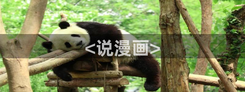 韩漫免费网站在线观看