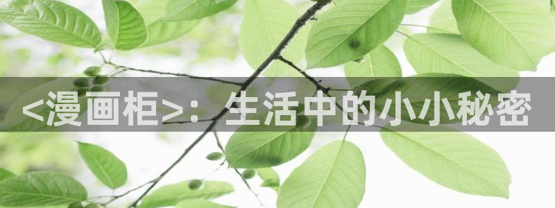 日漫韩漫画免费入口