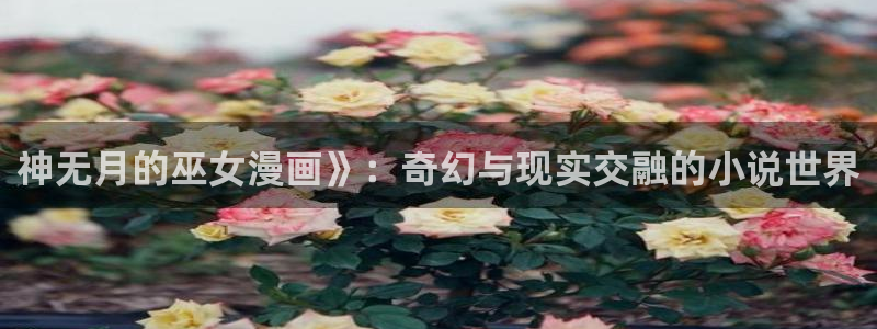 精美韩漫在线免费观看