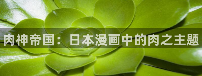 韩漫画无删减免费